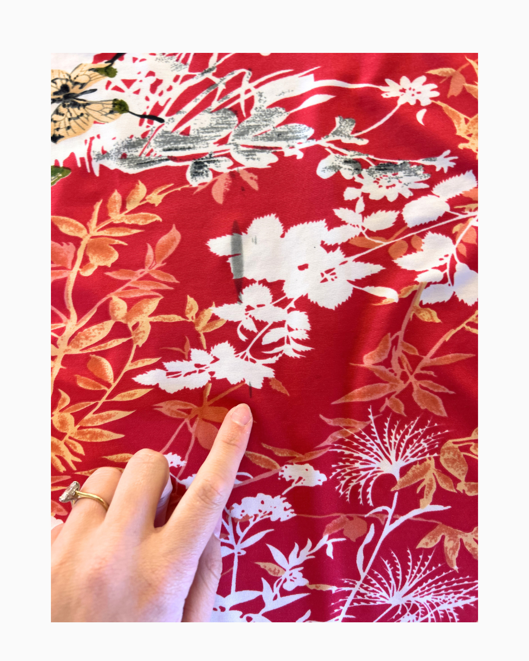 Tropical Set | M |
