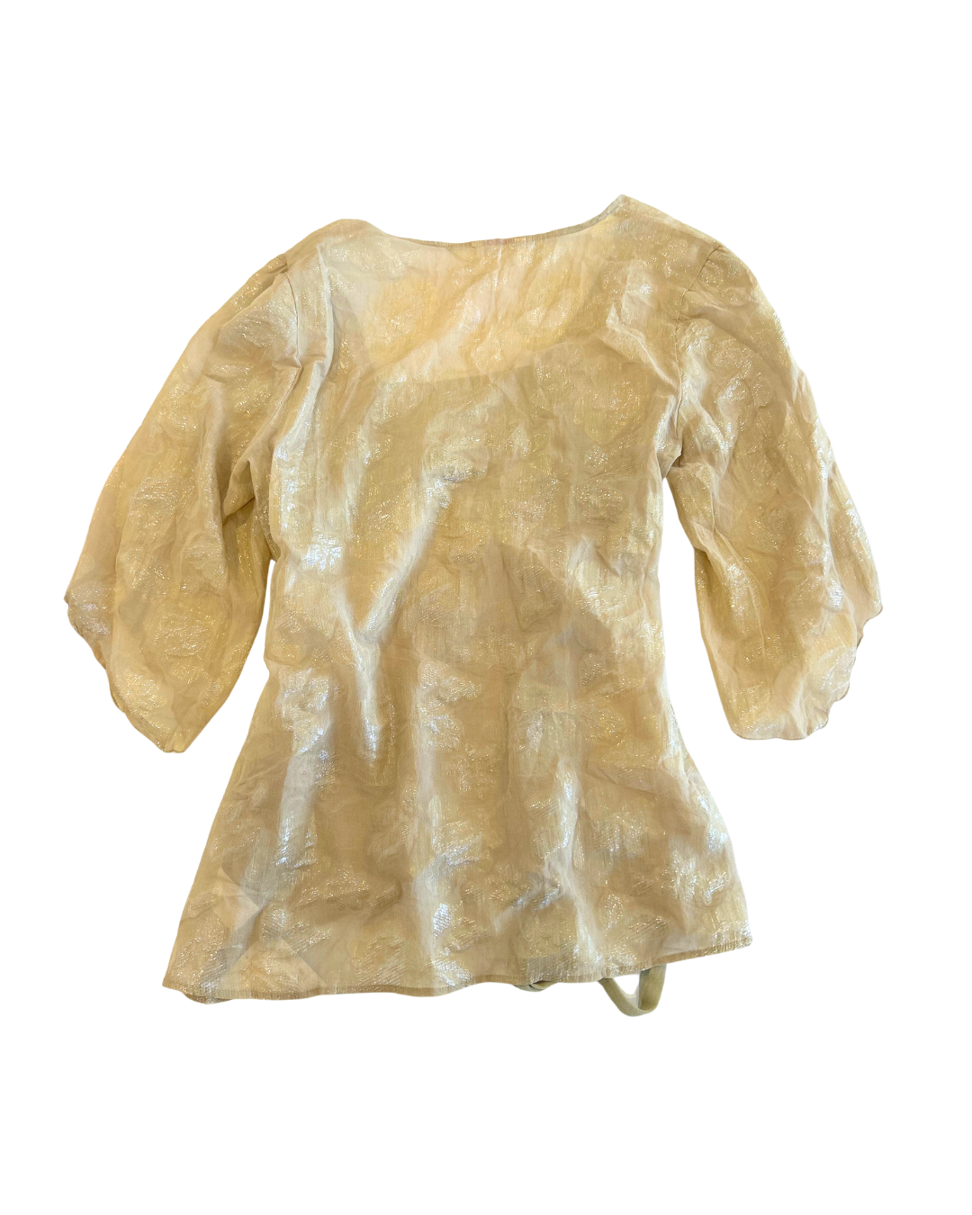 Sparkly Sheer Fairy Top | M |